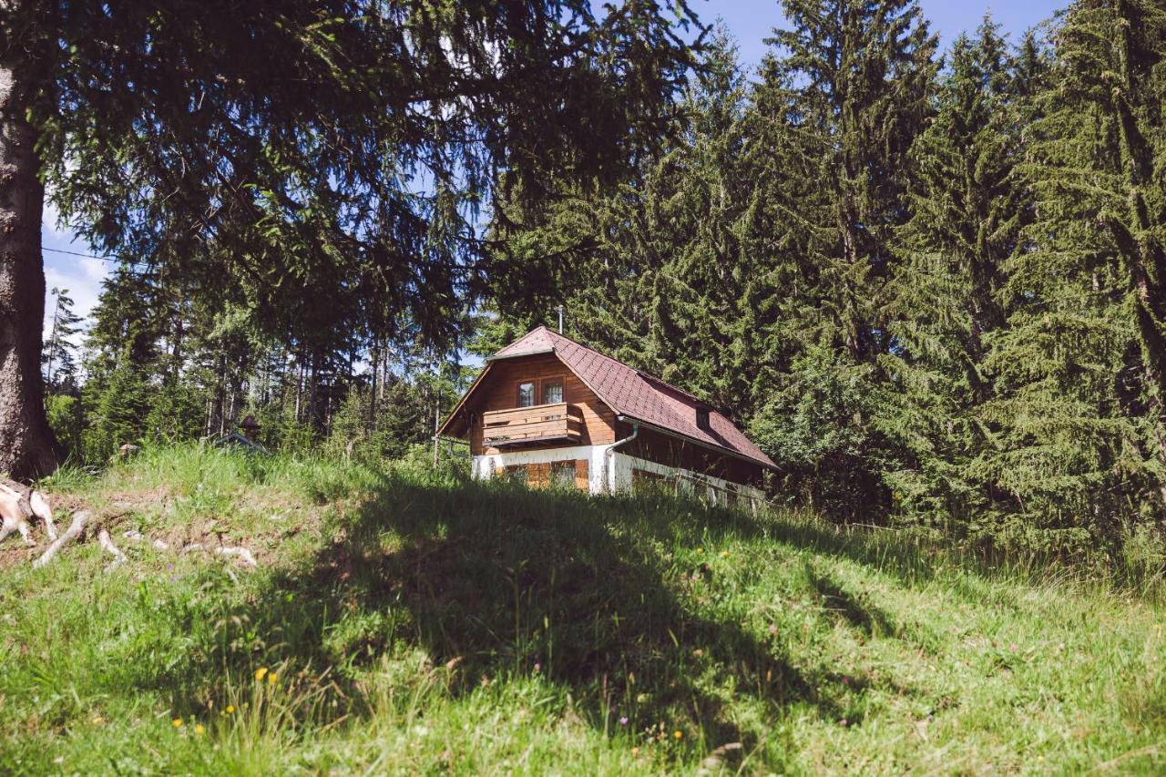 Moosbacher-huette *